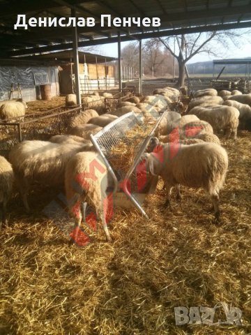 Хранилки/ясли за овце, снимка 14 - За селскостопански - 34655250