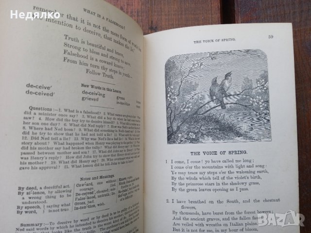 The Royal Readers 1882г,стара книга,рядка, снимка 4 - Антикварни и старинни предмети - 35679815