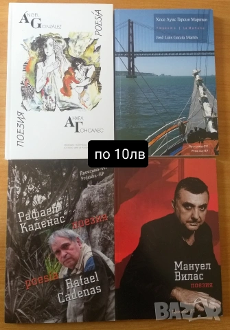 Поезия за ценители , снимка 7 - Художествена литература - 53020807