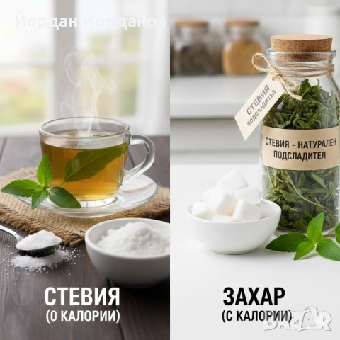 ЕКО Разсад Стевия - Естествен заместител на захарта - Реколта 2026, снимка 3 - Разсади - 53075625