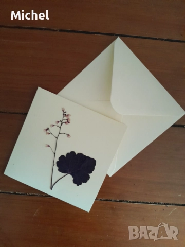 Картички с плик от хербарий, снимка 4 - Декорация за дома - 52438214