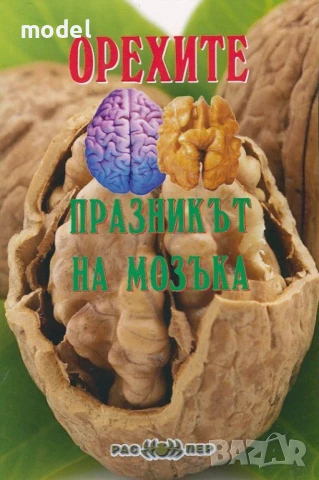 Орехите - празникът на мозъка 