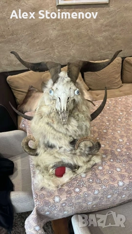 Кукерска маска 