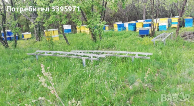 Пчелни отводки 2026, снимка 2 - За пчели - 53849793