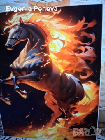 Година на Огнения кон