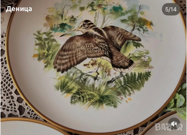 Английски чинии от серията”Птици на провинцията“. фин костен порцелан.  „Червенокраката яребица“ , снимка 4 - Чинии - 52645977
