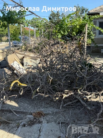 Услуги професионална дробилка и самосвал , снимка 4 - Други почистващи услуги - 51017863