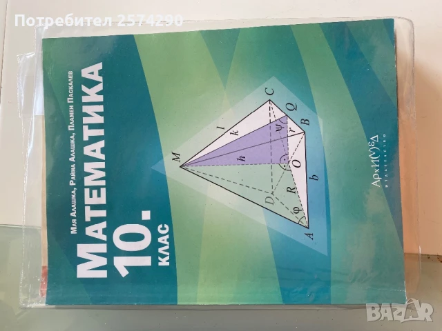 Лот учебници за 10 клас, снимка 8 - Учебници, учебни тетрадки - 51213039