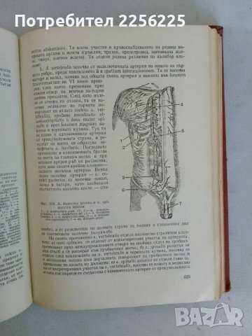 Анатомия на човека, снимка 6 - Специализирана литература - 47319367