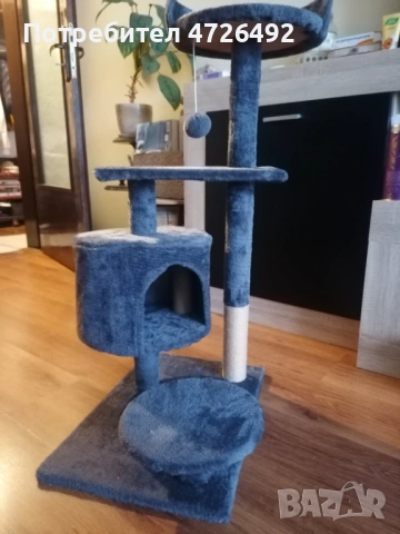 Котешка катерушка