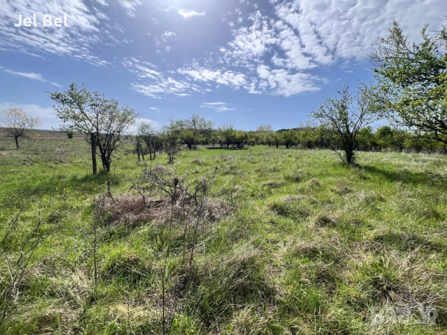 1.2 Дка Парцел / Дворно Място в Казанлък / Енина вилна зона "Старите Лозя" , снимка 8 - Парцели - 52512384