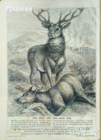 Chatterbox. Numbers 1-52 /1870/, снимка 17 - Антикварни и старинни предмети - 52320299