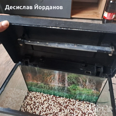 Аквариум, снимка 5 - Аквариуми - 53325855