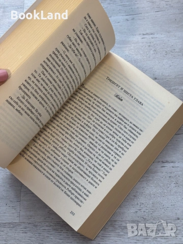 Крадци на лебеди| Елизабет Костова, снимка 9 - Художествена литература - 53719562