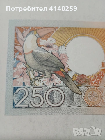 СУРИНАМИ БАНКНОТА , снимка 5 - Нумизматика и бонистика - 53735521