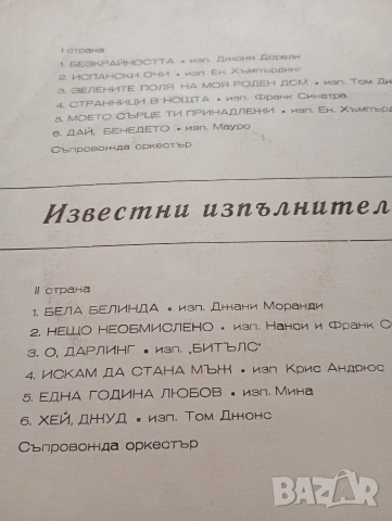 Грамофонни плочи, хитове със забавна музика, световно известни изпълнители , снимка 15 - Грамофонни плочи - 53150774