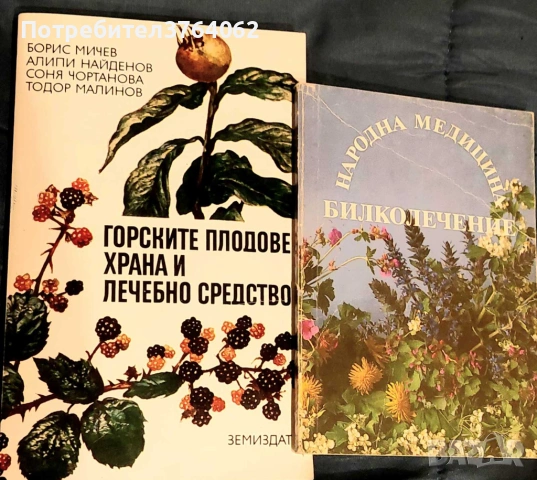Народна медицина. Билколечение Йохан Кюнцле , Горските плодове - храна и лечебно средство,, снимка 2 - Други - 53297405