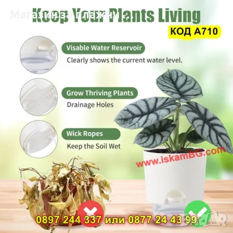 Самополивна саксия с резервоар за вода - КОД А710, снимка 5 - Саксии и кашпи - 49703367