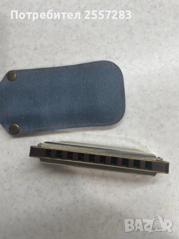 Стара Немска хармоника ГДР Country Western, снимка 3 - Антикварни и старинни предмети - 52659175