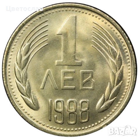 изкупувам 1 лев от годините 1960,1988 и 1989 И всички стотинки и левове от 1979, снимка 2 - Нумизматика и бонистика - 51197685