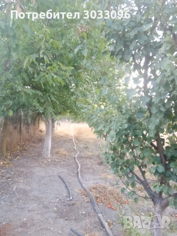 Продавам дворно място, снимка 3 - Парцели - 53734488