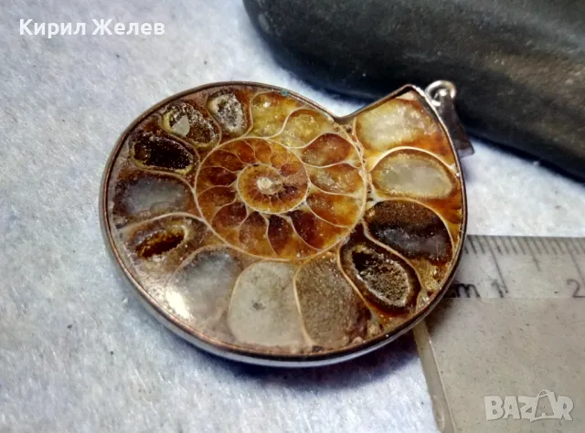 НАТУРАЛЕН ОПАЛИЗИРАН АМОНИТ в ПОСРЕБРЕН ОБКОВ Стар МЕДАЛЬОН РЪЧНА ЮВЕЛИРНА АРТ РАБОТА ПОЛИРАН 48807, снимка 5 - Антикварни и старинни предмети - 48818544