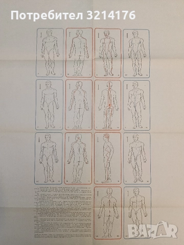 Традиционные и современные аспекты восточной рефлексотерапии - Гаваа Лувсан, снимка 4 - Специализирана литература - 52641536