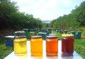 Пчелен мед от Сакар планина, снимка 1 - Хранителни добавки - 41769570