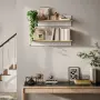 Комплект от 2 стенни рафта HOMCOM, снимка 2