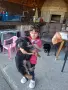 малки немски овчарки, снимка 2
