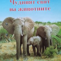 Чудният свят на животните-Паякообразни и насекоми, снимка 1 - Енциклопедии, справочници - 42731359