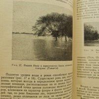Основы общей географии растений	В.Шафер, снимка 4 - Енциклопедии, справочници - 41945534