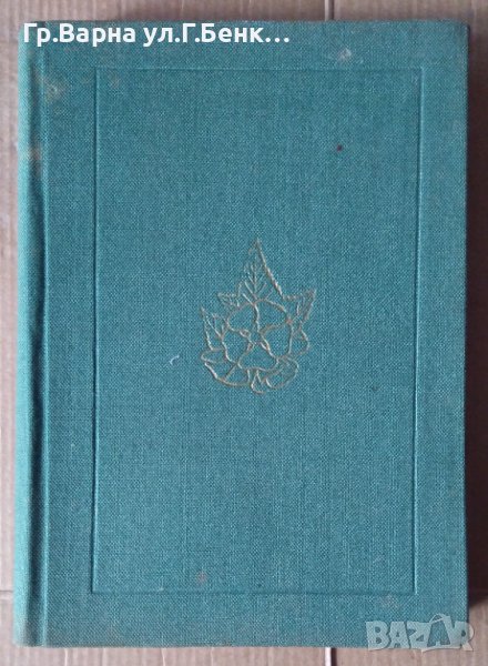 Етерично маслени и медицински култури  В.Стайков, снимка 1