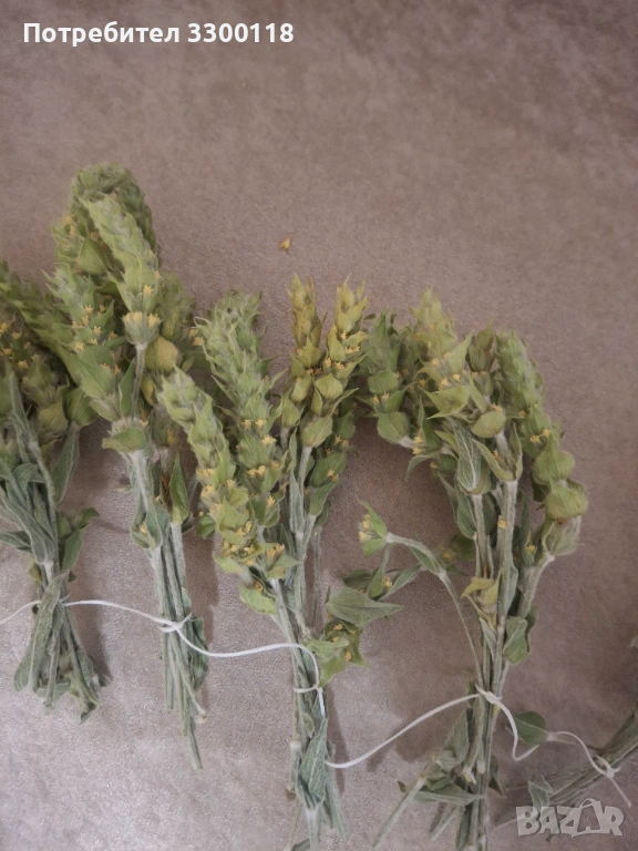 Мурсалски чай, снимка 1