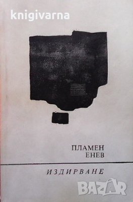 Издирване Пламен Енев, снимка 1