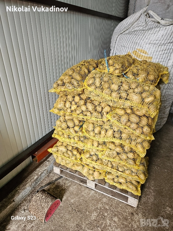 Картофи Сорая за консумация , снимка 1