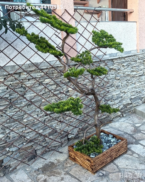 ръчно изработен бонсай Японски стил(уникат) , снимка 1