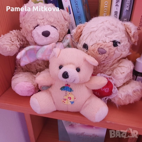 плюшени мечета