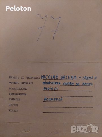 Valeria Nikolae, снимка 2 - Картини - 41861015