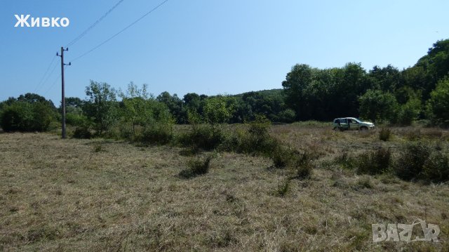 Продавам парцел в село Синеморец, м-ст Бутамята, снимка 8 - Парцели - 37789225