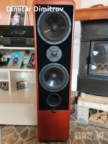 Аудиофилски тонколони Canton Ergo RC-S – Като нови, Първи собственик, Real Wood, снимка 2 - Тонколони - 53595589