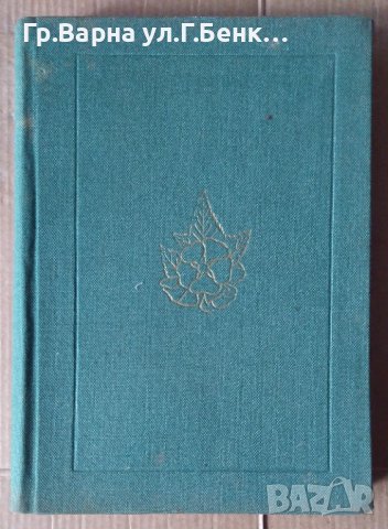 Етерично маслени и медицински култури  В.Стайков