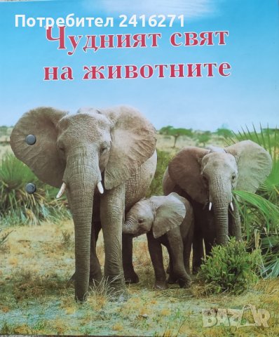 Чудният свят на животните-Паякообразни и насекоми, снимка 1 - Енциклопедии, справочници - 42731359