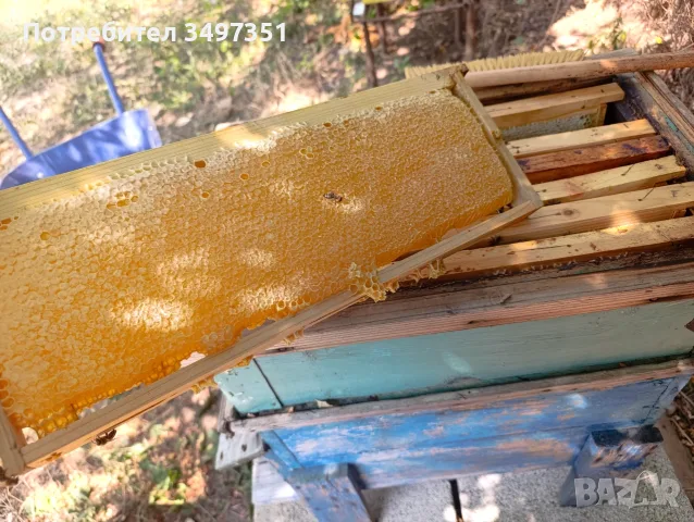 Пчелен мед Букет, снимка 4 - Пчелни продукти - 55585405