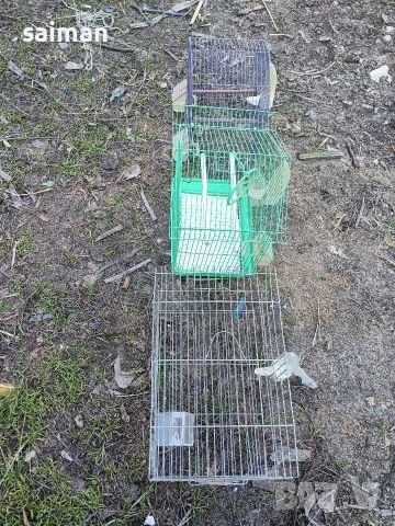 клетки за птици и котки-6евро, снимка 4 - За птици - 53735640