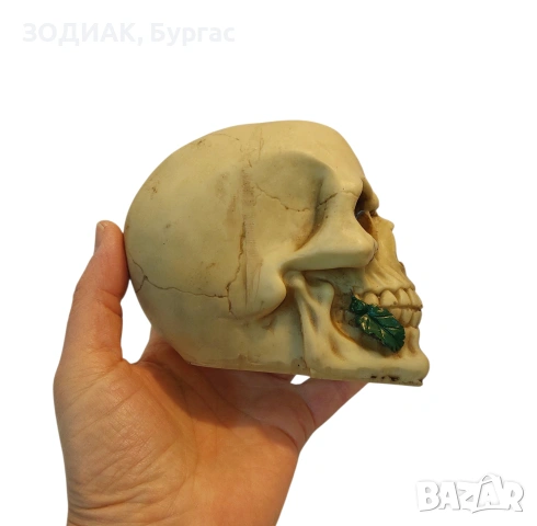 Стауетка Череп с Роза, снимка 4 - Декорация за дома - 53624415