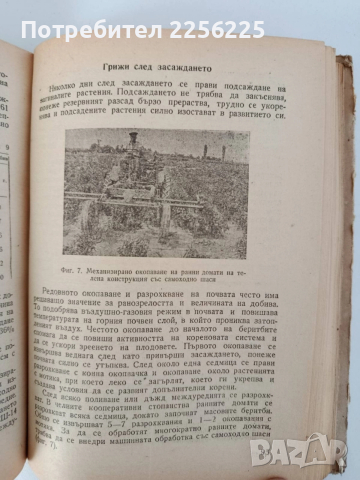 Ранно и късно полско зеленчукопроизводство , снимка 2 - Специализирана литература - 52790284