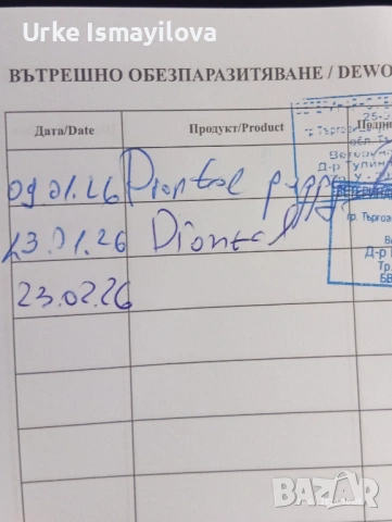 Мини йоркширски териер , снимка 9 - Йоркширски териер - 53534471