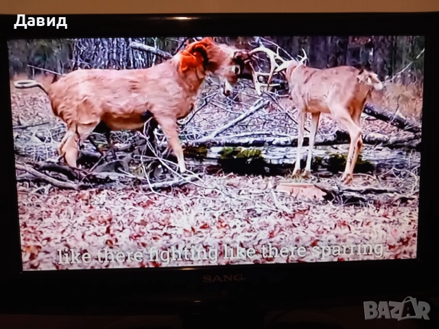 Продавам телевизор SANG LED TV 24 инча, снимка 3 - Телевизори - 52794640