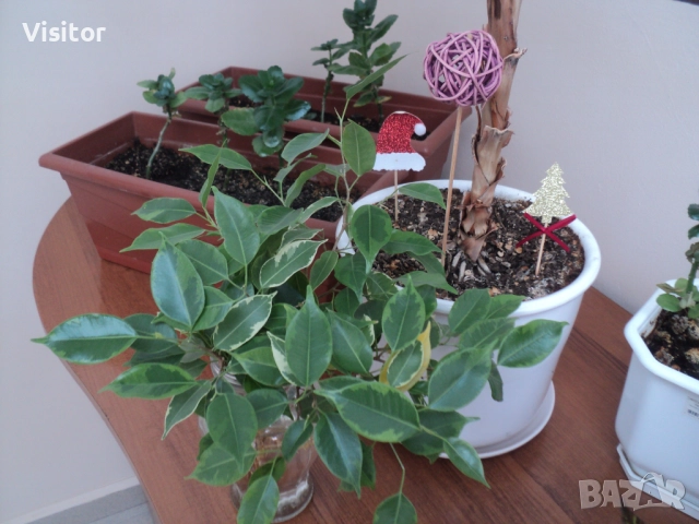 Sony Cyber-shot DSC-S2100   12 МРх, снимка 16 - Фотоапарати - 52851341